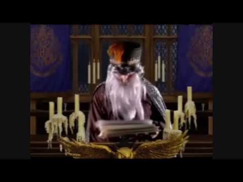 Part 1: Harry Potter 6 The Quest for the Lost Horcruxes