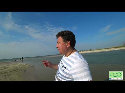 Return Sasyk to the sea