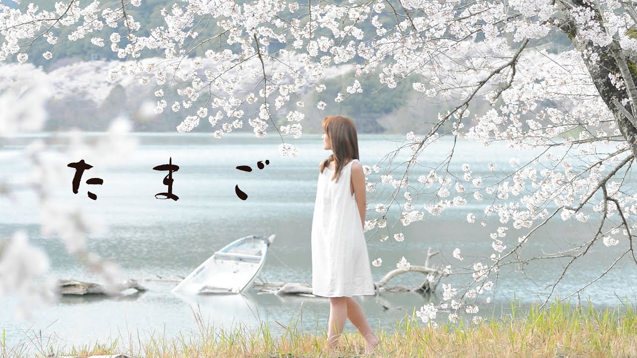 Movie Trailer "TAMAGO" by Director Koji Hirano : 映画「たまご」予告編トレーラー　平野功二監督作品