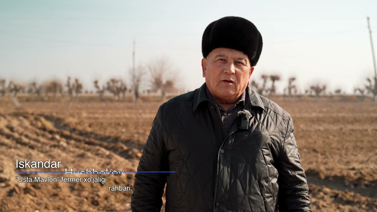 Sho‘r yerlarda serhosil paxta navlari