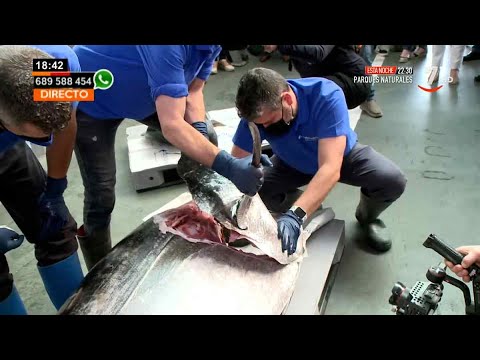 El ronqueo del atún, la forma tradicional de despiezar este pescado | Castilla y León directo