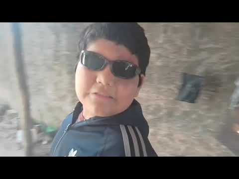 Terminator (parodia)