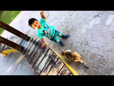 Achyut playing with Cat