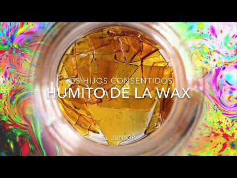 LOS HIJOS CONSENTIDOS - HUMITO DE LA WAX
