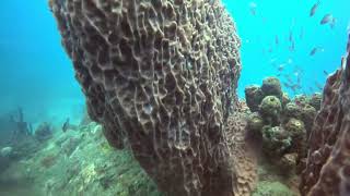 Scuba Diving (15/05/2025)Anse Cochon (Bay of Pigs)South dive site.