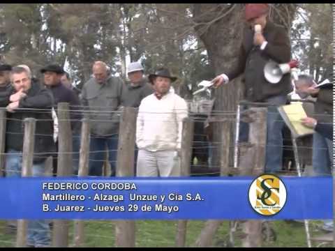 Alzaga Unzué y Cía. S.A. - Palabras Federico Cordoba - Benito Juarez - 29/05/2014