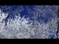 Winter-Vivaldi Four Seasons 