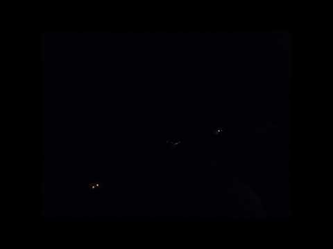 Potty Break 20-03-22