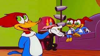 O Desejo de Aniversário dos Gêmeos Dá Errado! | Pica-Pau em Português