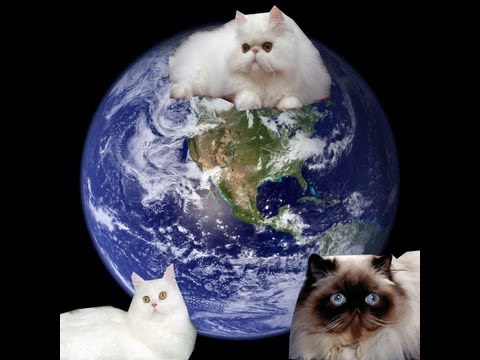 Let`s Play Europa Universalis 4 Persian Cats Part 2