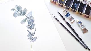 How to Paint Transparent Eucalyptus in Watercolor Tutorial