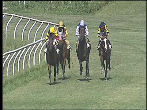 Galoppo 17/06/2016 - 1° corsa