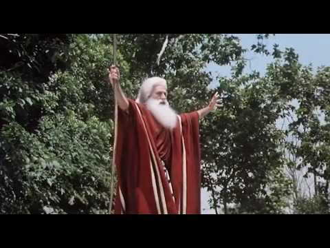 "Hundesohn" – Die verrückte Geschichte der Welt