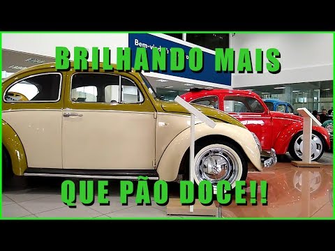 Dia Nacional do Fusca 2019 | | Perin  Veiculos | | #fusca #vw