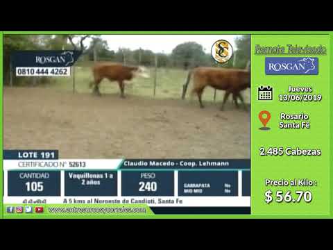 13-06-19 - Venta de Hembras - Remate Televisado de ROSGAN - Rosario