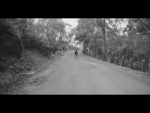 Malesh P - Fantasy Freestyle [Official Visual]