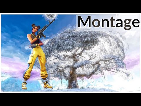 Montage by Bright2k