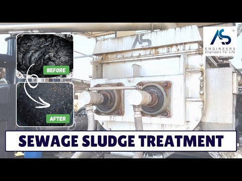 Paddle Sludge Dryer