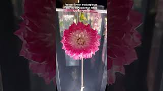 The SURPRISING Beauty of Azuma Makoto's Frozen Flowers