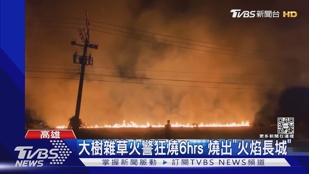 大樹雜草狂燒6小時 燒出「火焰長城」 陳其邁越洋關切