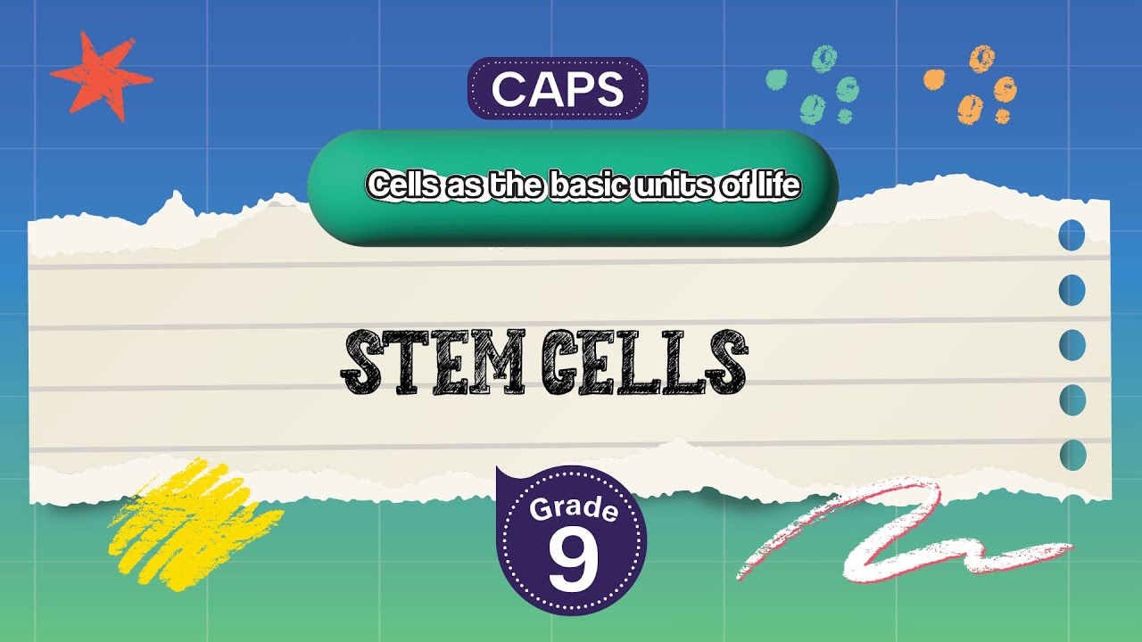[GRADE 9] Stem cells