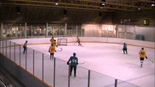 preview picture of video 'Oak Bay Rec Hockey Nov 2011 HD'
