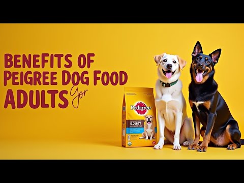 Benefits of Pedigree Dog Food for Adults | Balanced, nutritious food