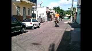 Mula preta de Rogerão em coaraci bahia.