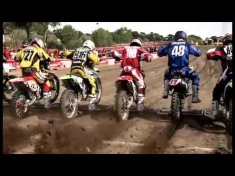 It Ain’t Easy Being Green