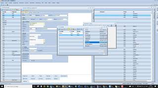 Stamdata for debitor/kunde i KeyBalance