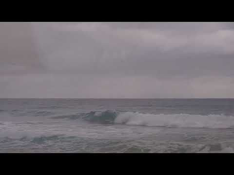 Blued Together film preview