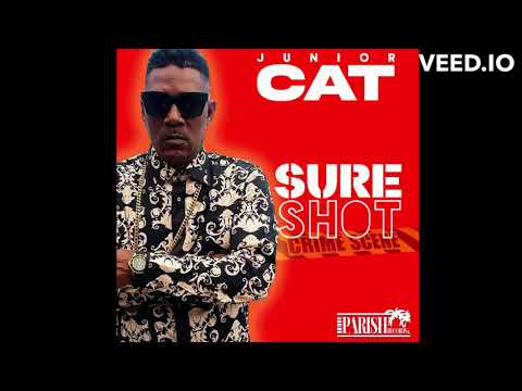 Junior Cat  - Sure Shot