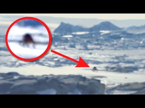 PREHISTORIC GIANT SPIDER MONSTER FOUND IN ANTARCTICA?!