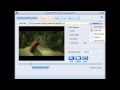 FREE DOWNLOAD Moyea SWF To Video Converter PRO