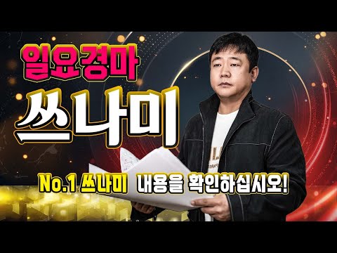 쓰나미!! 12월 둘째주 일요 경마!! 내용과 싸이즈가 다른 정통 경마 분석 방송