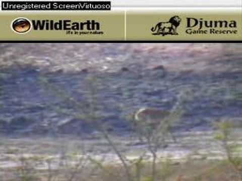 Sunrise drive 090407-7