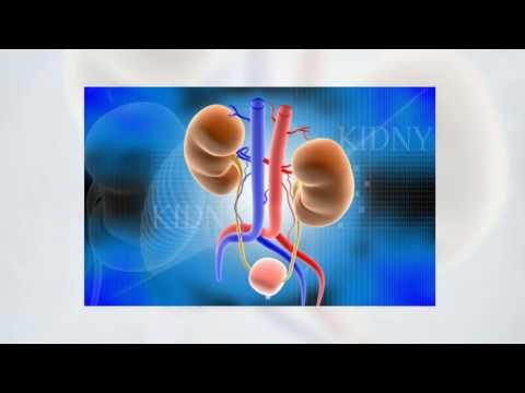 Logo of Best Kidney Stones Removal Package in Mexicali Mexico