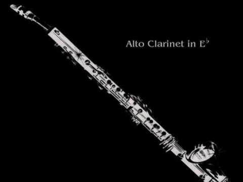 23 Clarinets - Clarinet Choir - Maritana