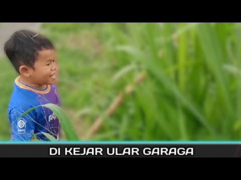 53-di-kejar-ular-garaga