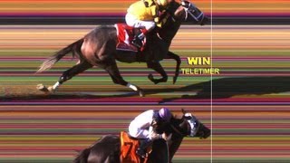 2013 Metropolitan Handicap - Sahara Sky