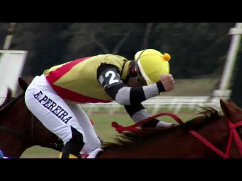 220626 c08 Crit Potrancas/ QUATRO Y VINTE