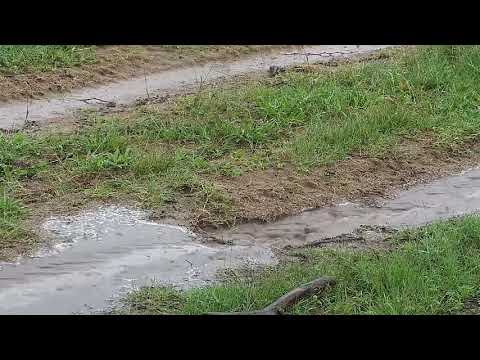 Djuma: Rain water flowing in the road in front of cam - 07:11 - 11/22/21