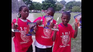 Community Picnic co-founded by Robert Mitchell Jr.