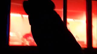 GRIMSKUNK - WATCHFUL ELMS LIVE IN MONTREAL 2019-12-20 (2)