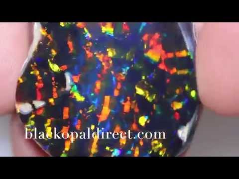 The Best Harlequin Pattern Black Opal Ever Seen http://blackopaldirect.com
