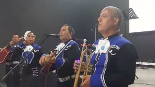 Video de Mariachi Contigo