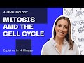 MITOSIS And CELL CYCLE Prophase Metaphase Anaphase And Telophase A Level Biology