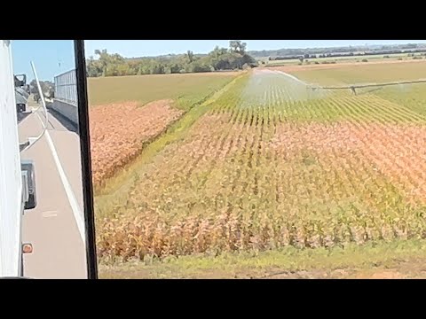 DAY 81 / 2022 Wheat Harvest / September 4 (the long journey home)