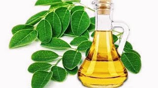 How to Extract Oil from Malunggay (Moringa) Leaves at Home + Uses & Benefits