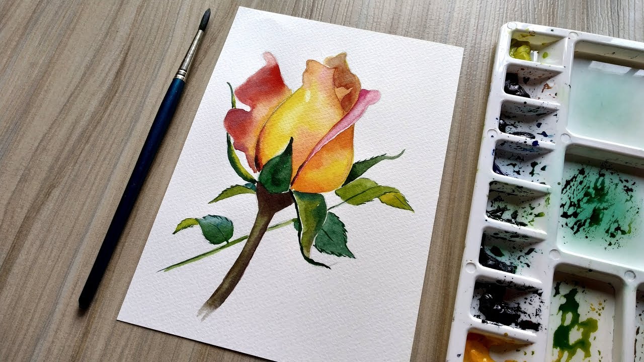 Watercolor Painting Rose tutorial by David